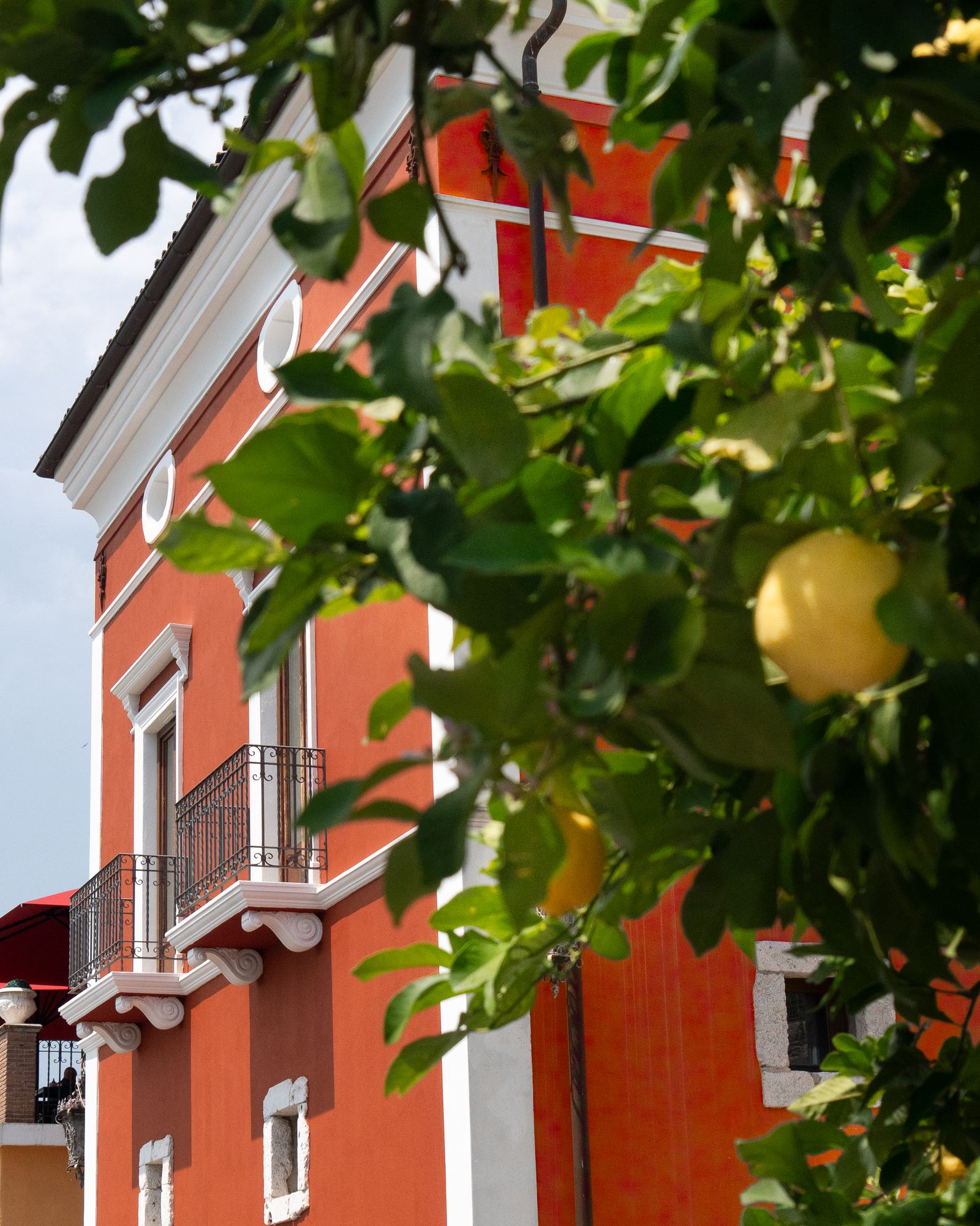 Villa Madame tra gli ulivi